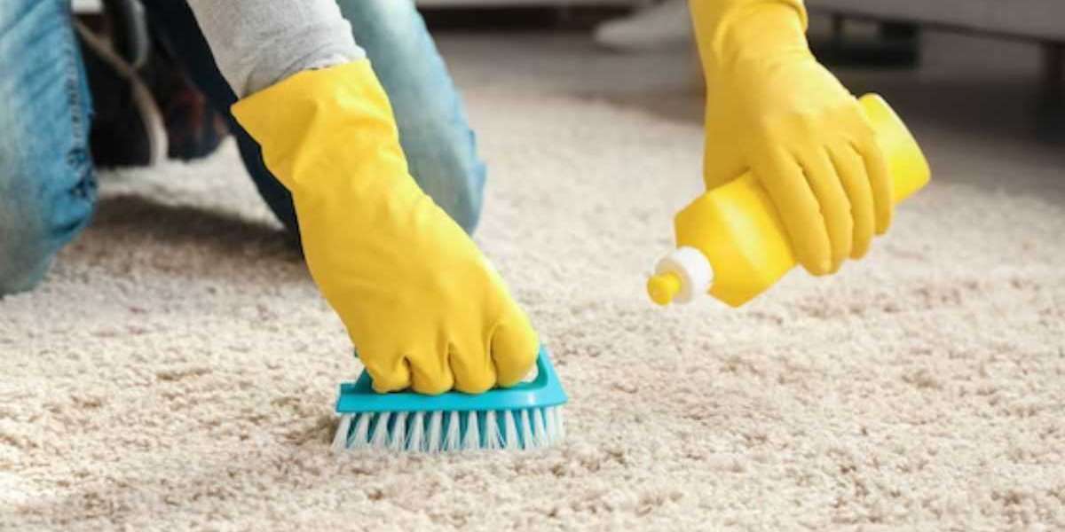 How Often Should You Get Your Carpet Cleaned?