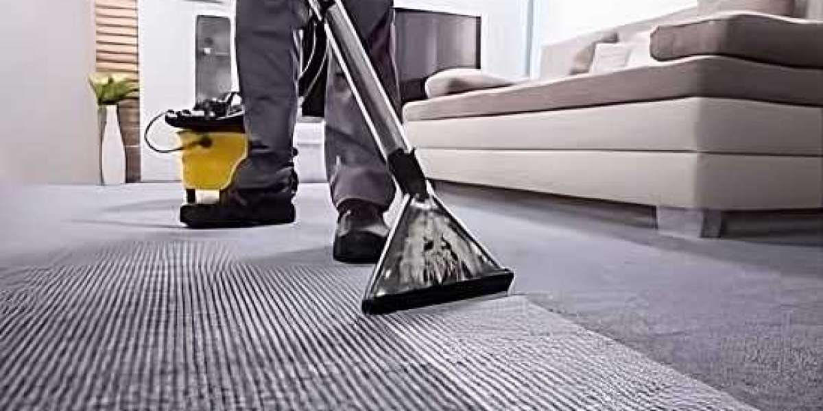 The Clean Carpet Chronicles: Expert Services Revealed