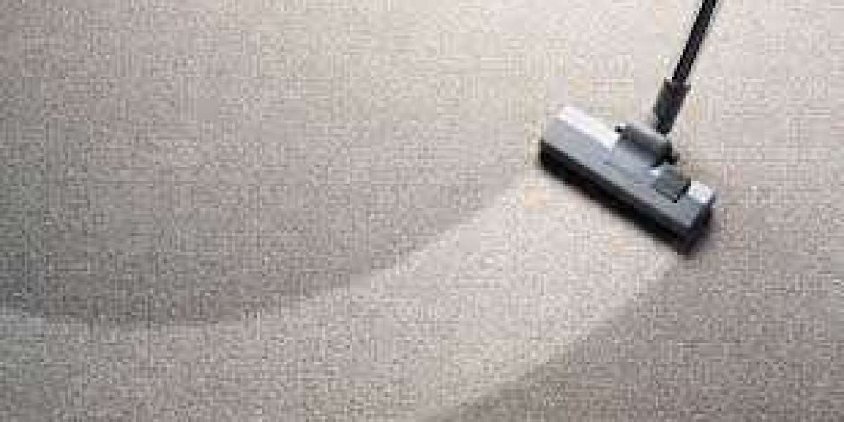 Why Professional Carpet Cleaning Should Be Part of Your Routine