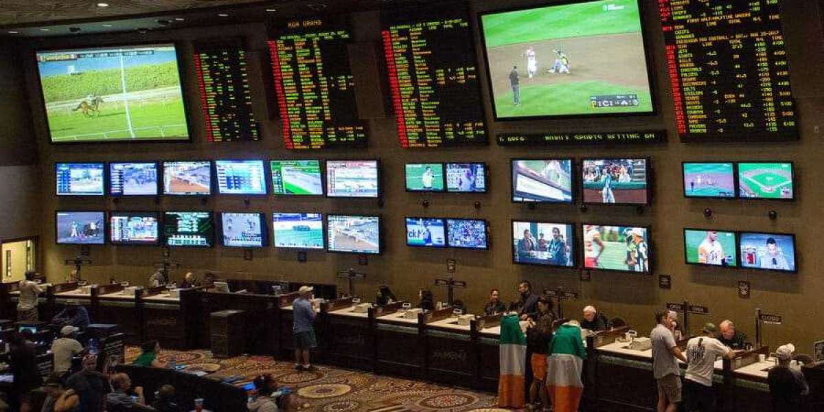 "Bet-nyang the House: Discovering the Realm of Korean Sports Betting Sites"