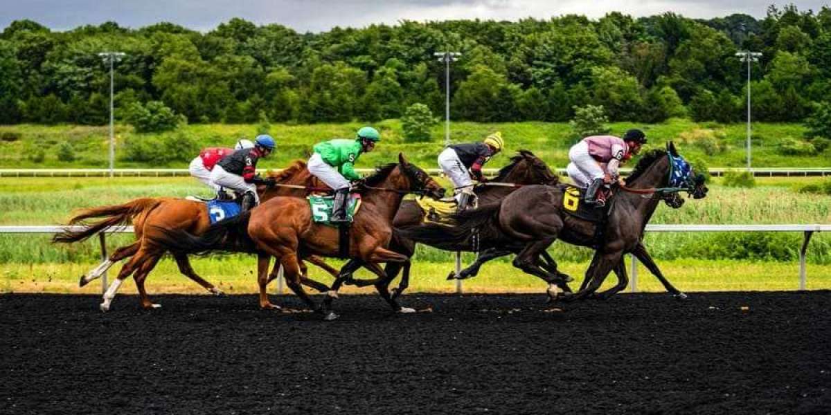 Betting on the Odds: Sporting Adventures and Betting Ventures