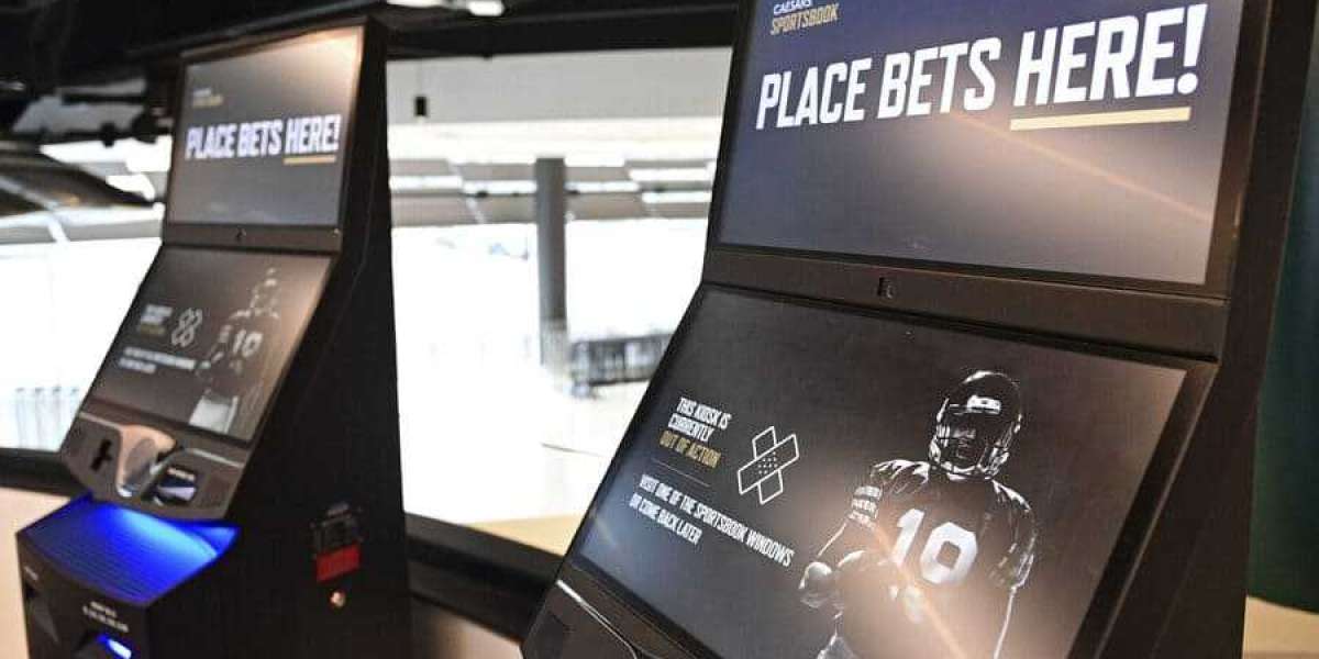 Rolling the Dice: The Witty Wagering World of Sports Gambling