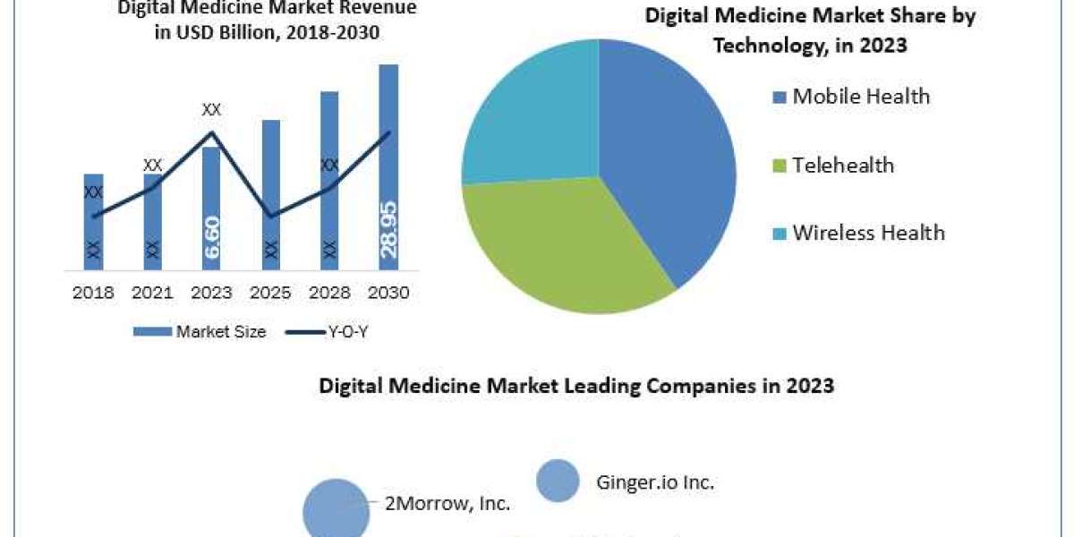 Digital Medicine Market Company Profile, Development Status and Outlook 2030