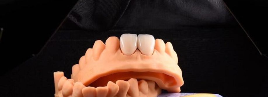 Mega Dental Cover Image
