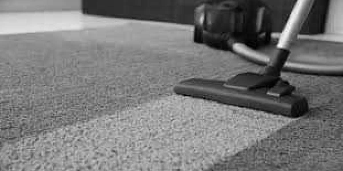 Professional Carpet Cleaning: Vital for Home Beauty and Wellness