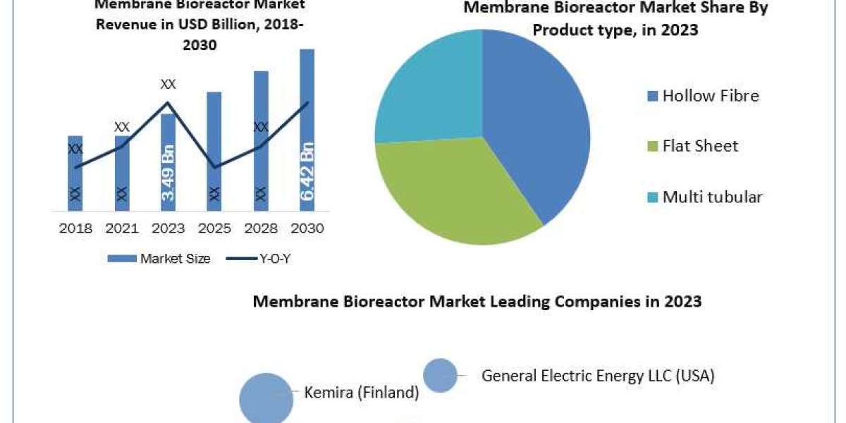 Membrane Bioreactor Market Statistics and Forecast (2024-2030): Trends and Analysis