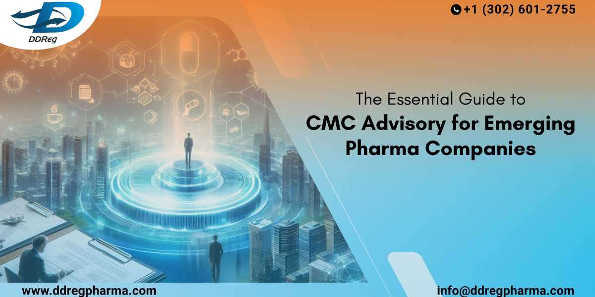 The Essential Guide to CMC Advisory for Emerging Pharma Companies