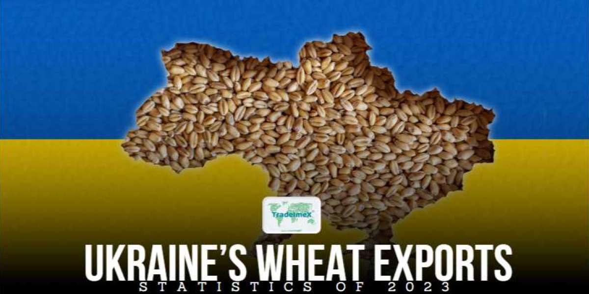 How much grain does Ukraine export to the UK?