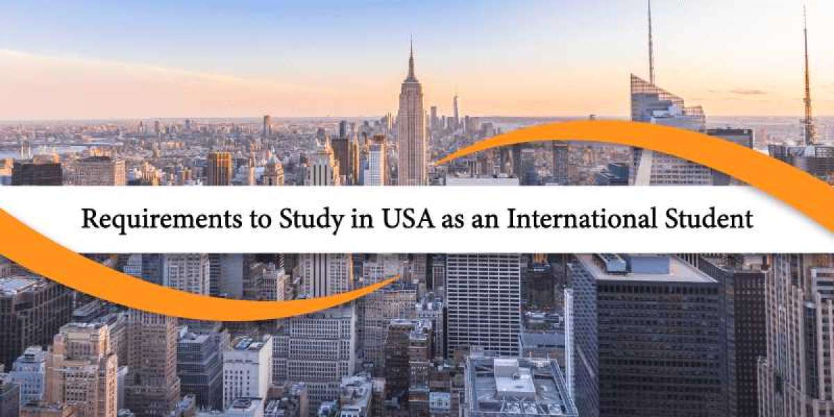 Getting into US Schools as an International Student: Navigating the Challenges and Opportunities