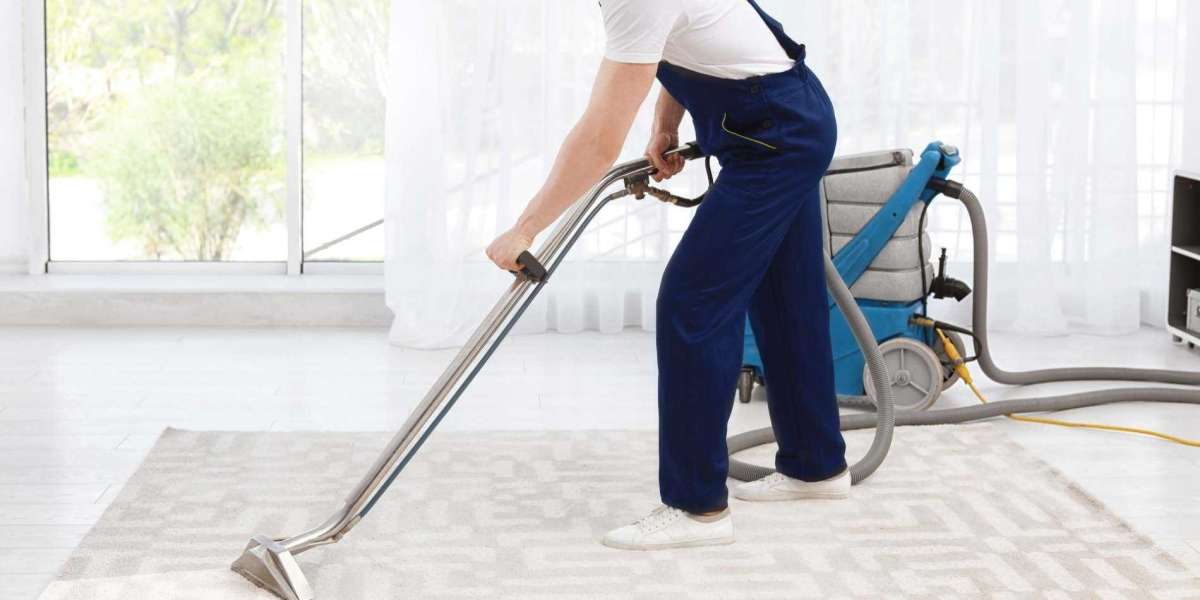 How Professional Carpet Cleaning Can Transform Your Home’s Look