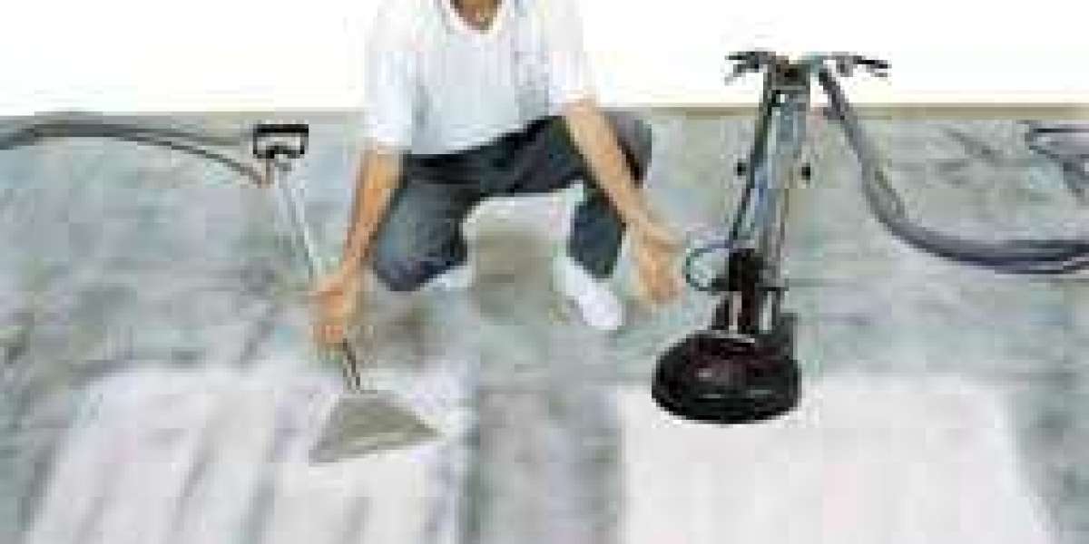 The Importance of Professional Carpet Cleaning for Health and Safety