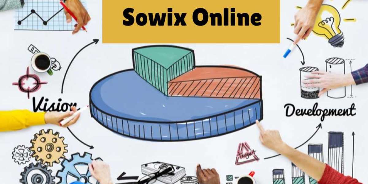 Sowix Online: Taming the Project Management Chaos