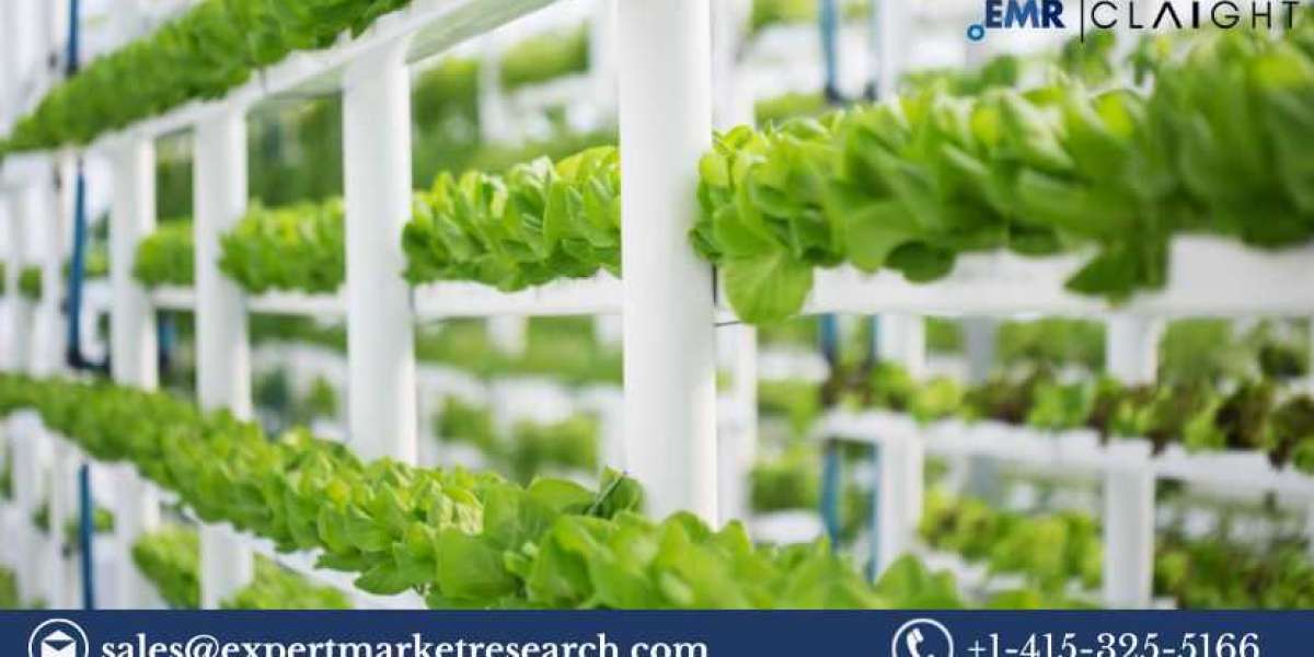 Future of the Global Vertical Farming Market: Projections from 2024 to 2032