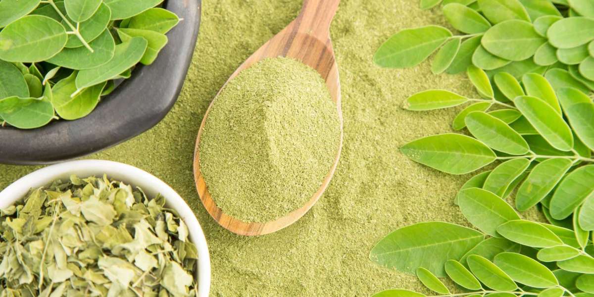 Where to Get Organic Moringa Powder at the Best Price