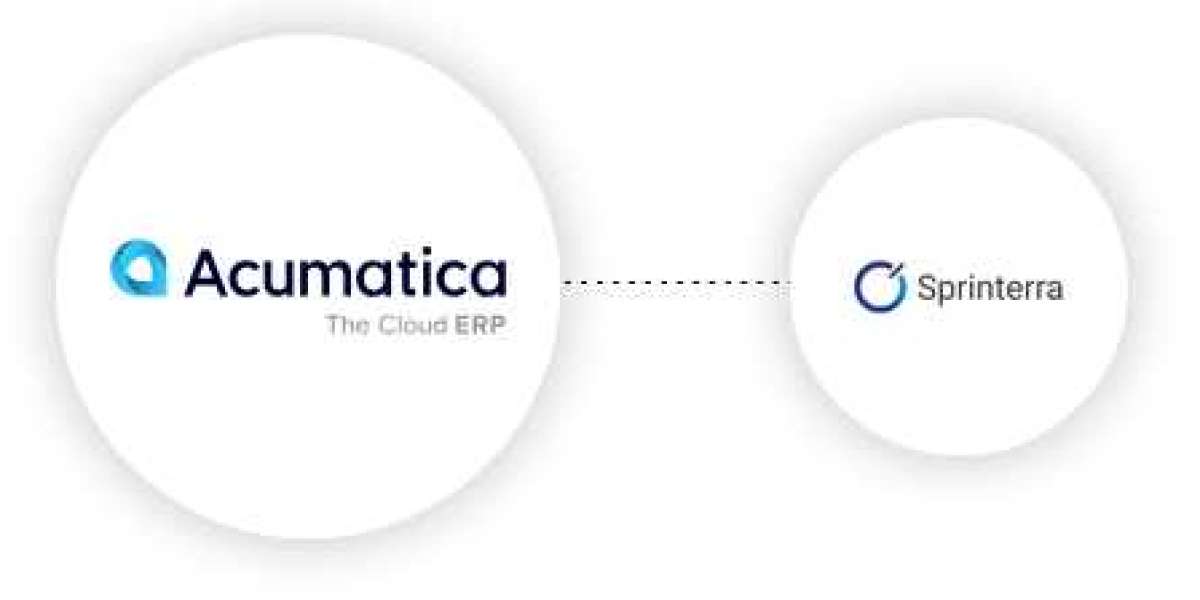 The Ultimate Guide to Choosing the Right Acumatica Consulting Partner