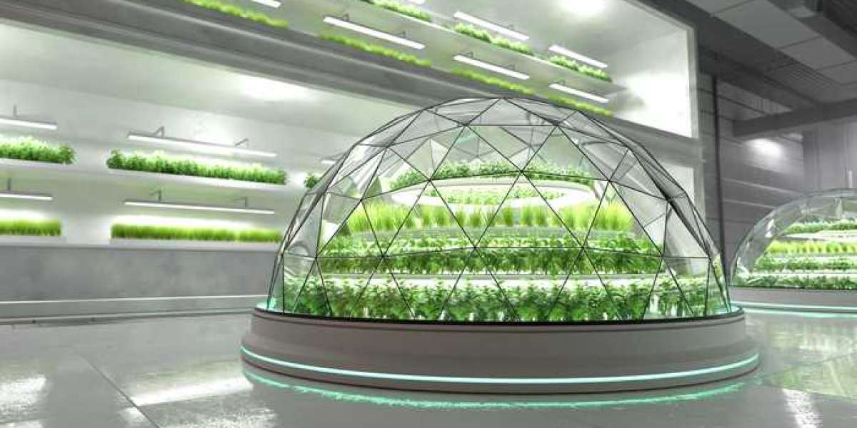 How Nanobubble-enriched Irrigation Improves Crop Yields and Resilience?