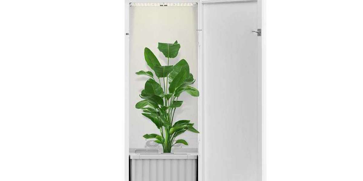 The Future of Indoor Gardening: Hey Abby Automated Grow Box 420 Edition Takes the Lead