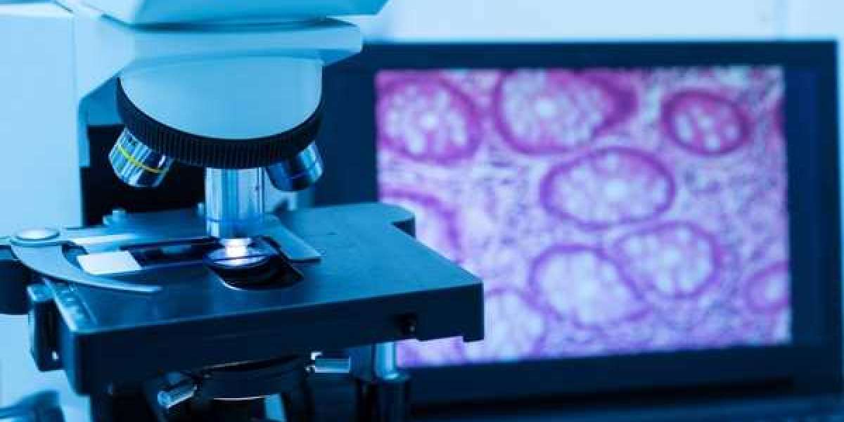 Digital Pathology Market Insight | Outlook | Growth Analysis Report 2032