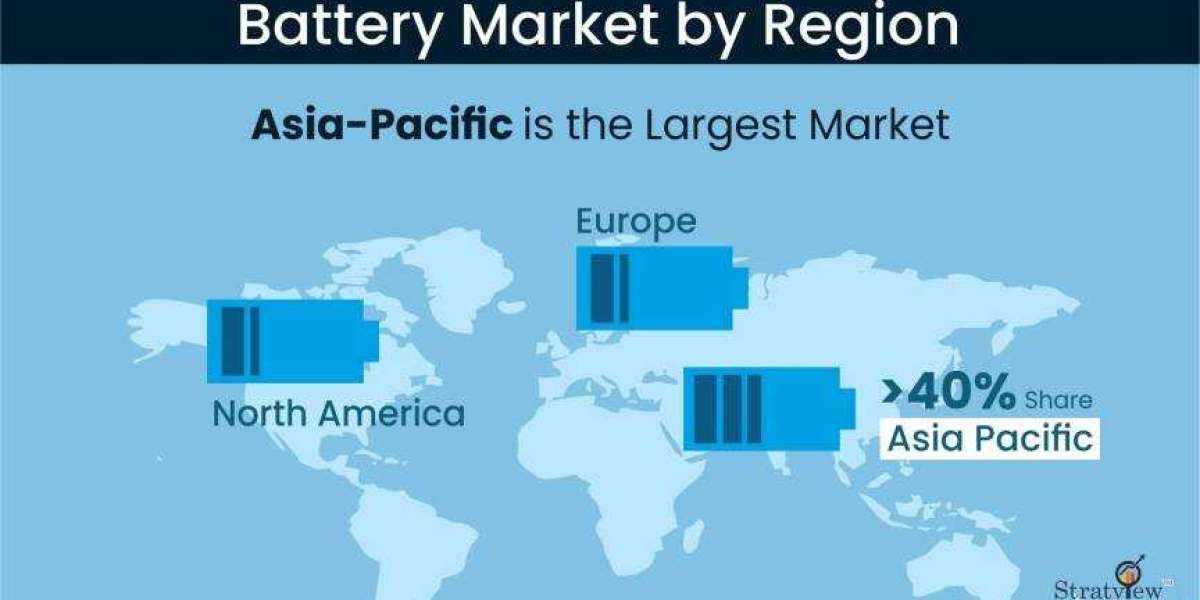 Navigate the Battery Market Maze: Size, Share, and Competitive Edge