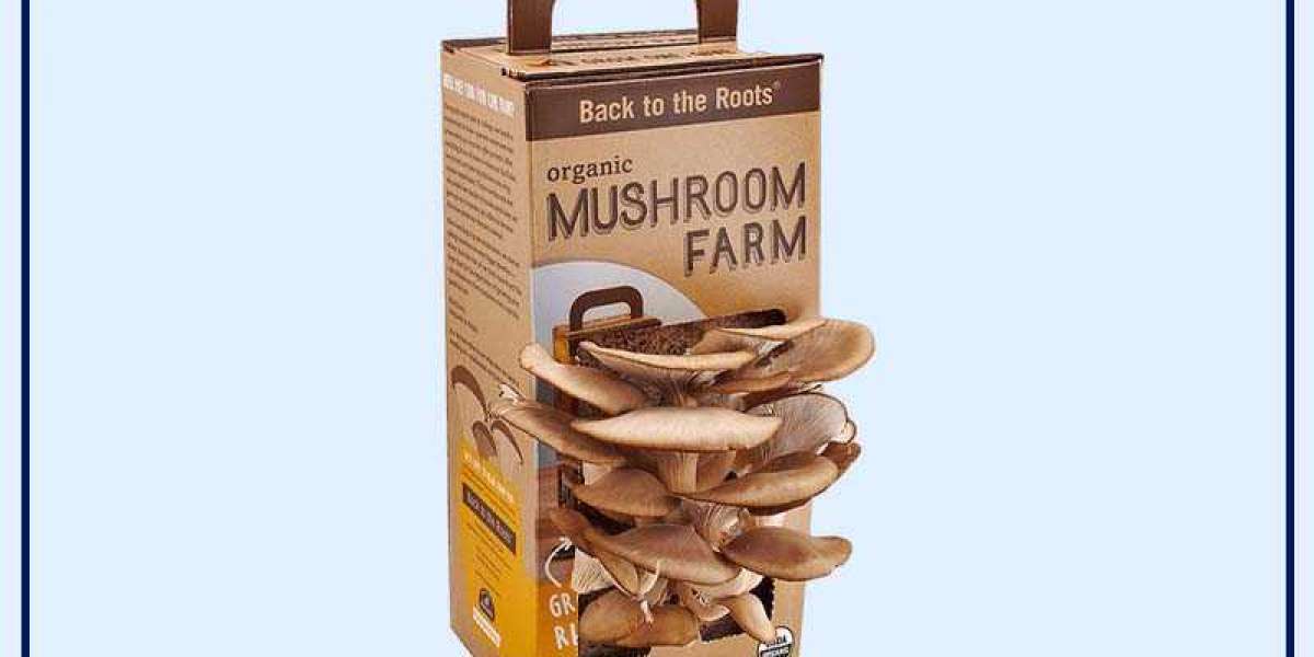 Growing Mushrooms at Home: The Convenience of Mushroom Boxes