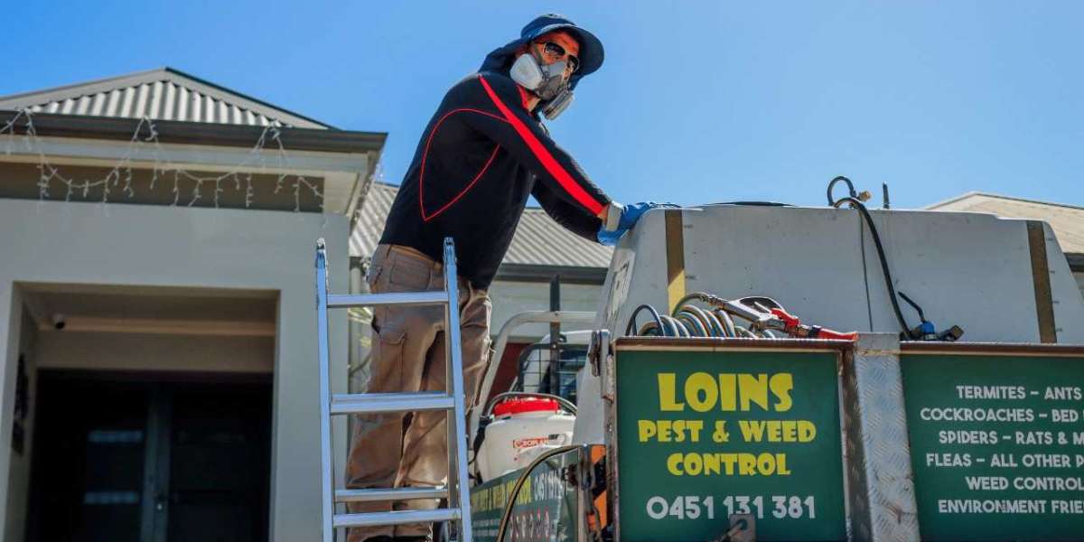 Protect Your Home with Our Expert Pest Control Service in Perth