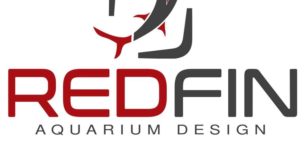 Exploring RedFin Aquarium Design: Elevating Commercial Aquarium Experiences