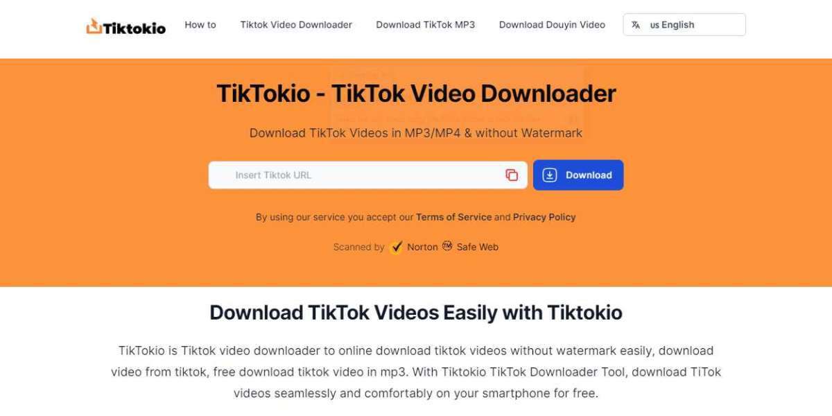 TikTok Video Downloader