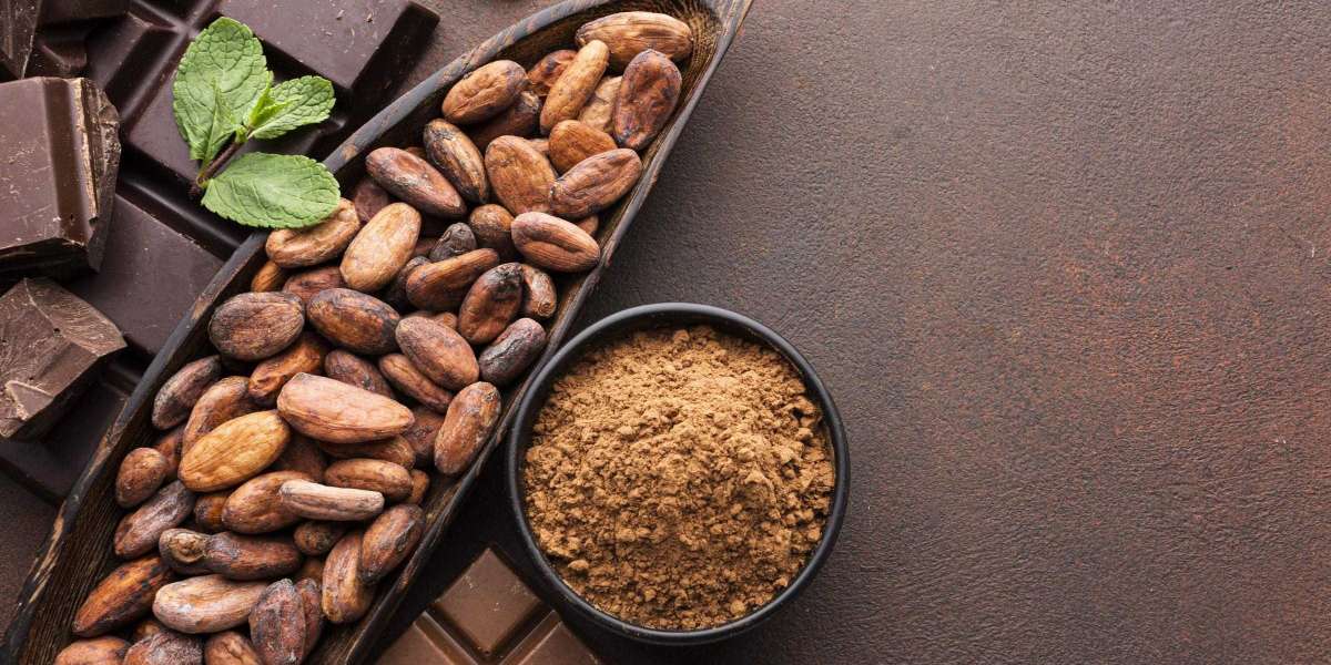 Machinery Requirements for Setting Up a Cocoa Bean Processing Plant