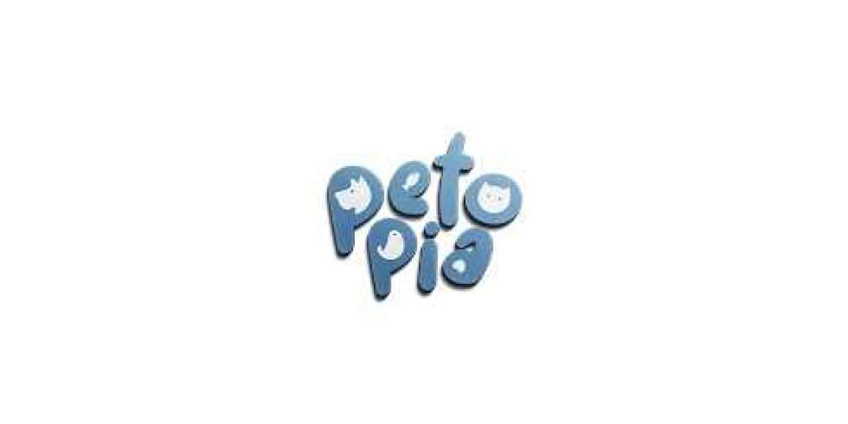 Best Pets Exhibition Events in Pune By Petopia Gala