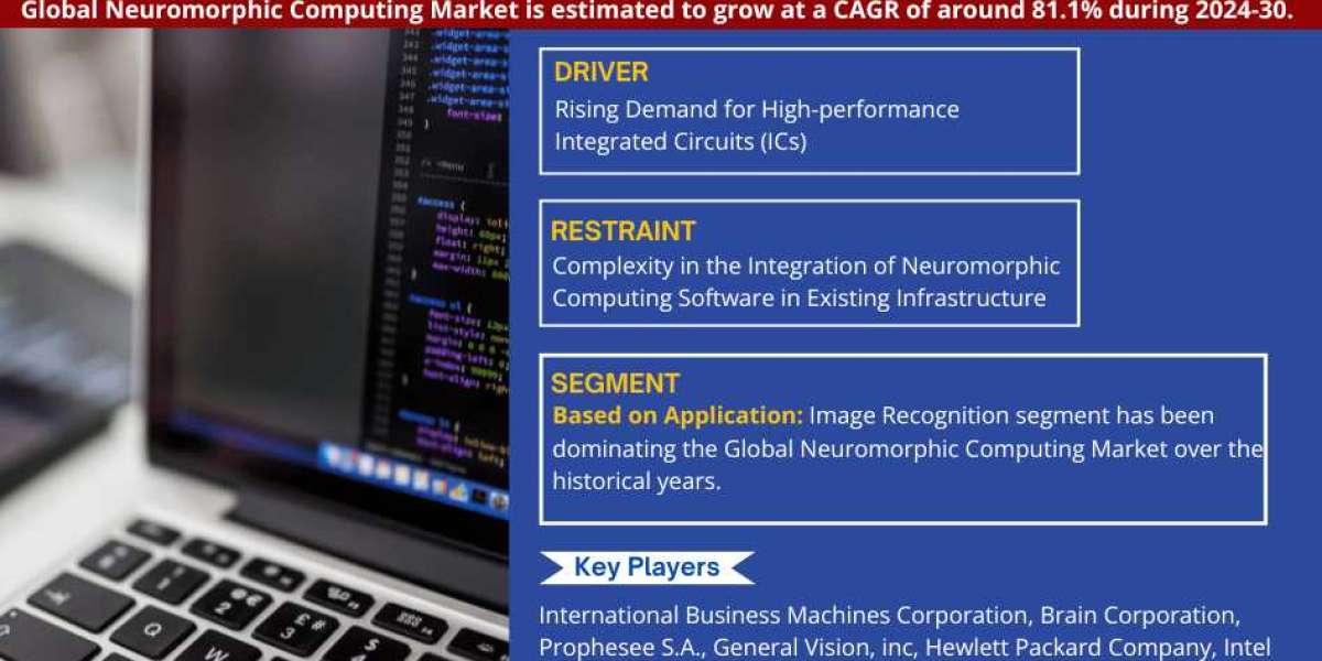 Neuromorphic Computing Market Expanding at a CAGR of 81.1% during 2024-2030