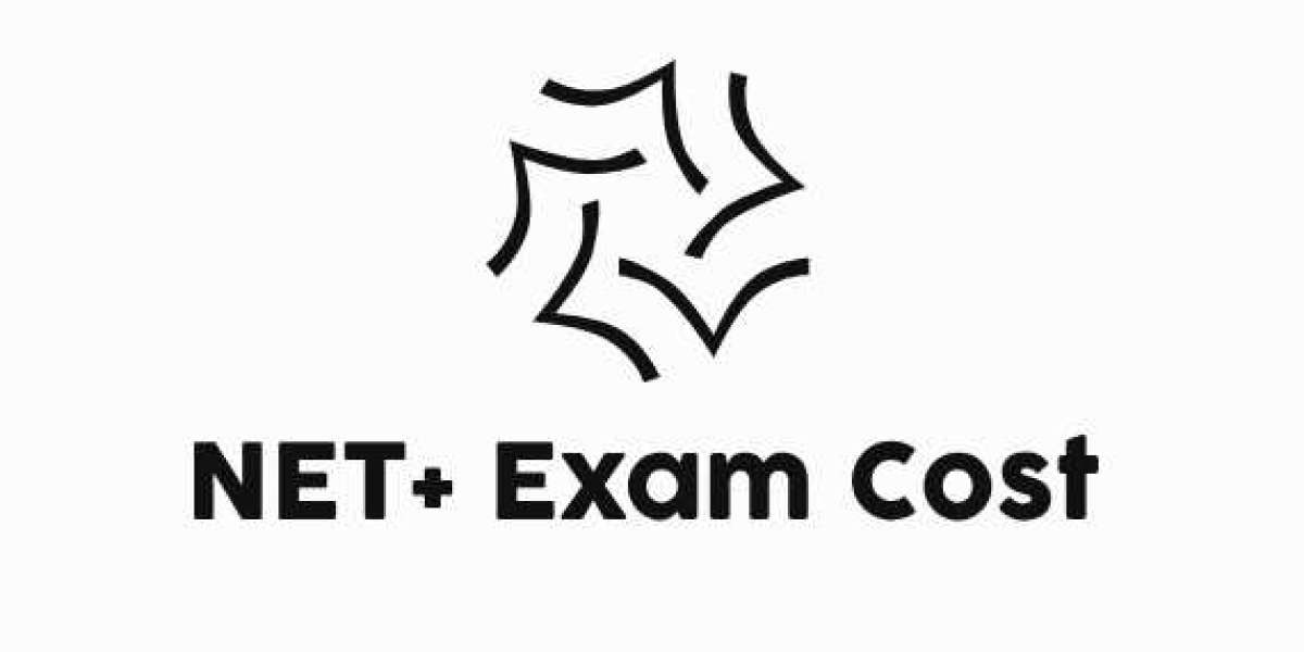 Managing NET+ Exam Cost Efficiently with Exam Dumps