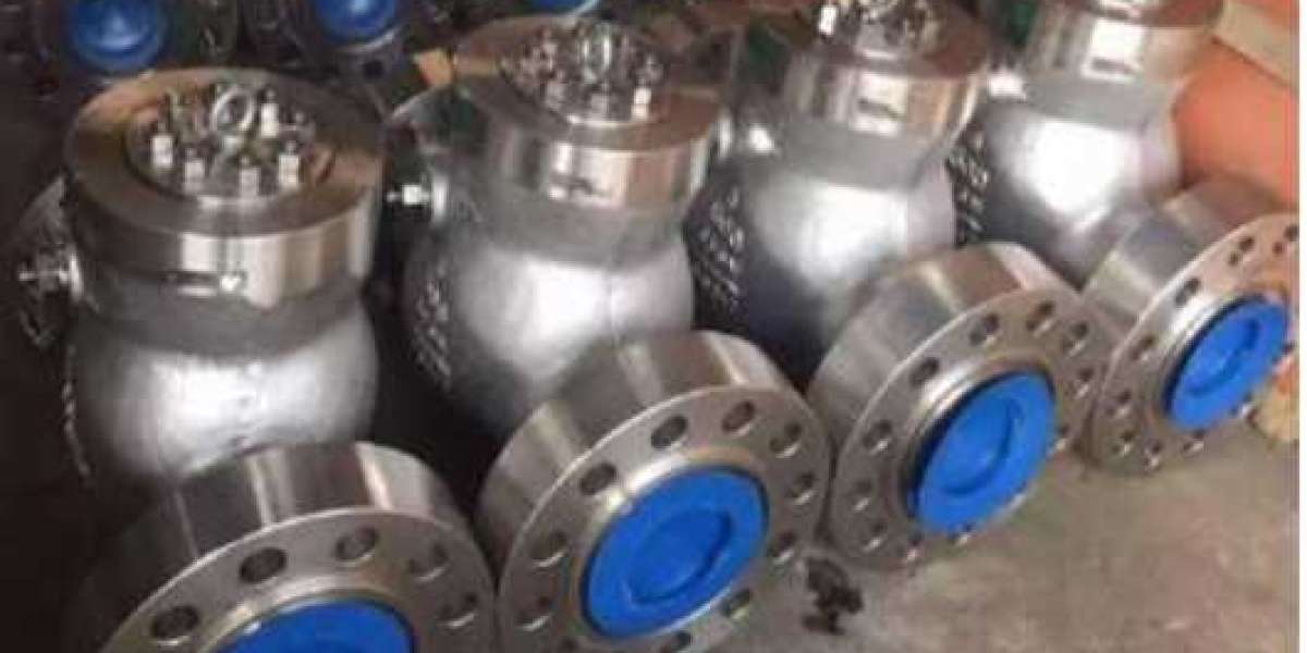 Swing Check Valve Manufacturer in USA