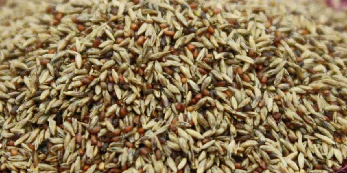 Global Malt Alkali  Market 2023 | Industry Outlook & Future Forecast Report Till 2032