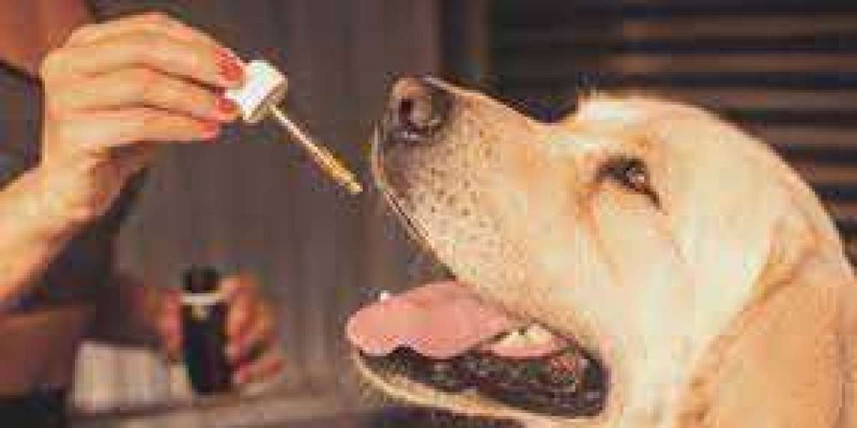 Pet Supplement Market : Key Trends, Growth, Insights and Forecast Report to 2032