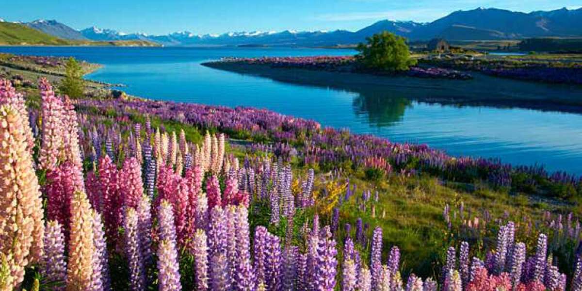 Top Tourist Attractions to Visit with Your New Zealand Visit Visa