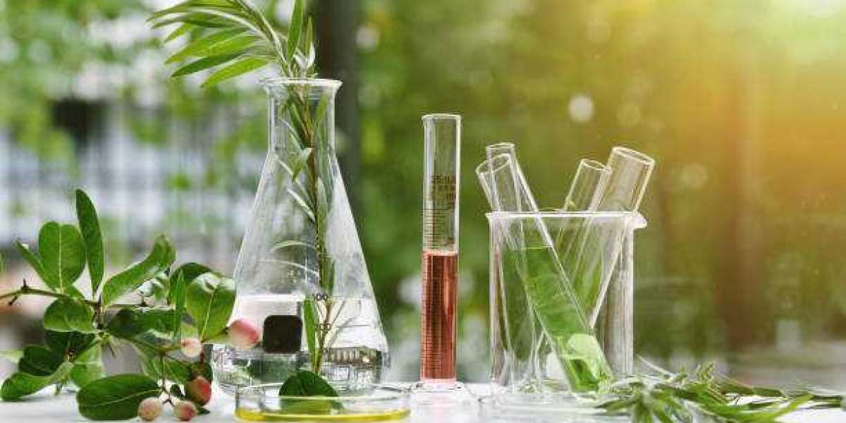 Latest Plant Extracts Market Research By Size, Share, Growth Trends, Top Segment and Leading Companies