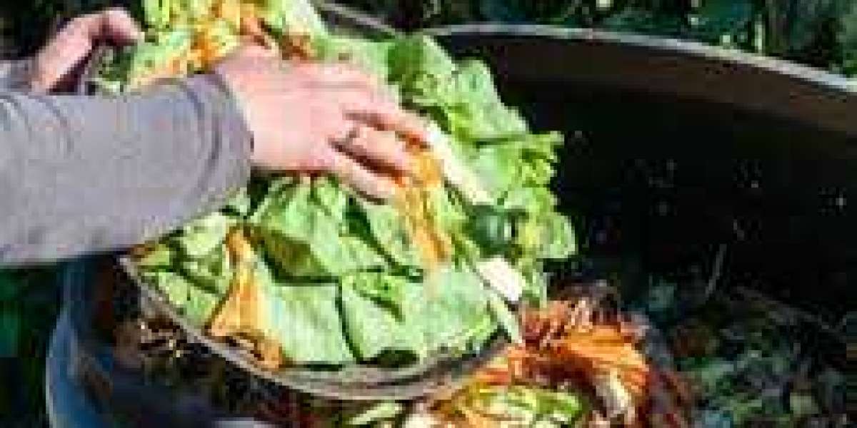 Food Waste Management Market Insight | Outlook | Growth Analysis Report to 2032