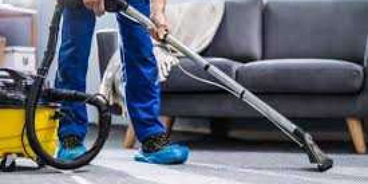 How Professional Carpet Cleaning Keeps Every Home Fresh and Inviting