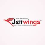 Jett Wings profile picture