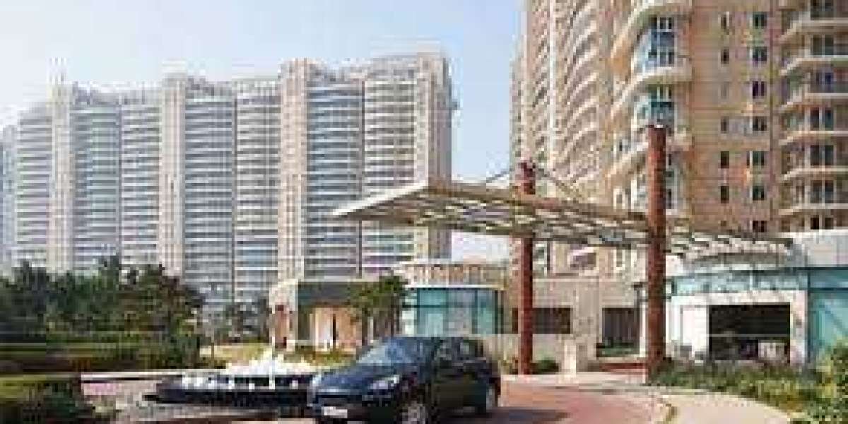 DLF Magnolias: Embracing Luxury in a Secure Oasis