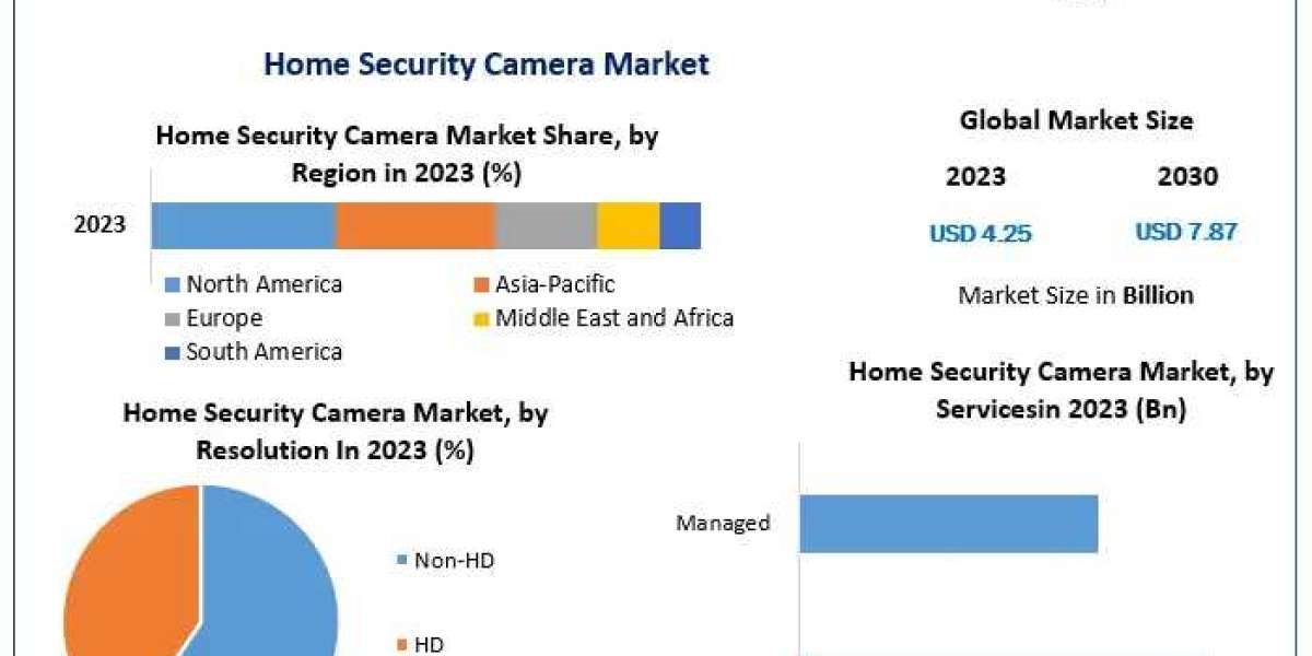 Home Security Camera Market Future Dynamics: Examining Trends, Size, and Forecasting in 2030