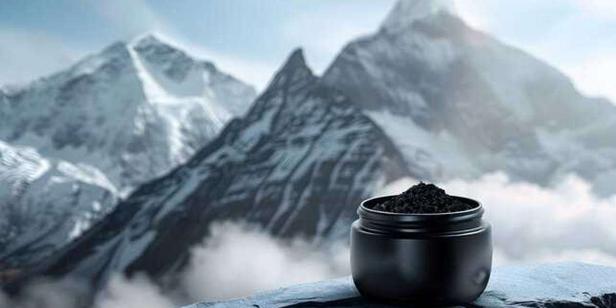 Experience Pure Shilajit A Natural Boost for Vitality & Energy