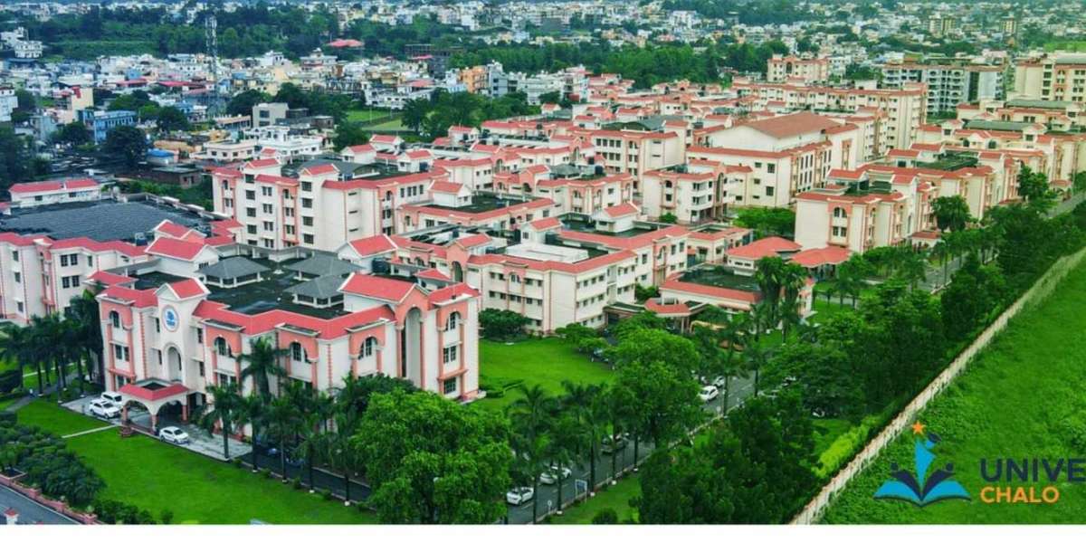 What Students Love About Uttaranchal University