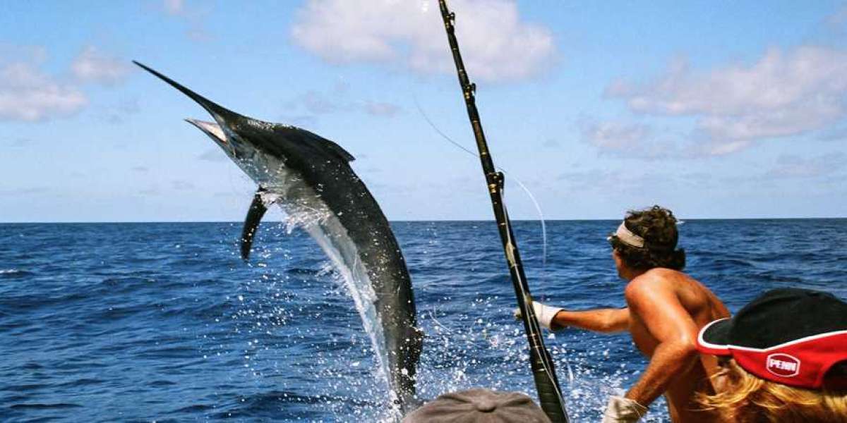 Fishing in Dubai: A Guide to the Best Spots and Experiences