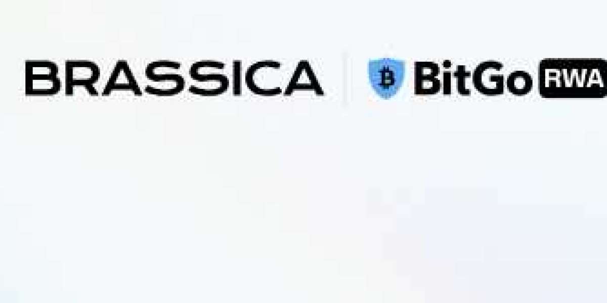 Brassica: Your Comprehensive Guide to Alternative Trading Systems and Securities Navigation