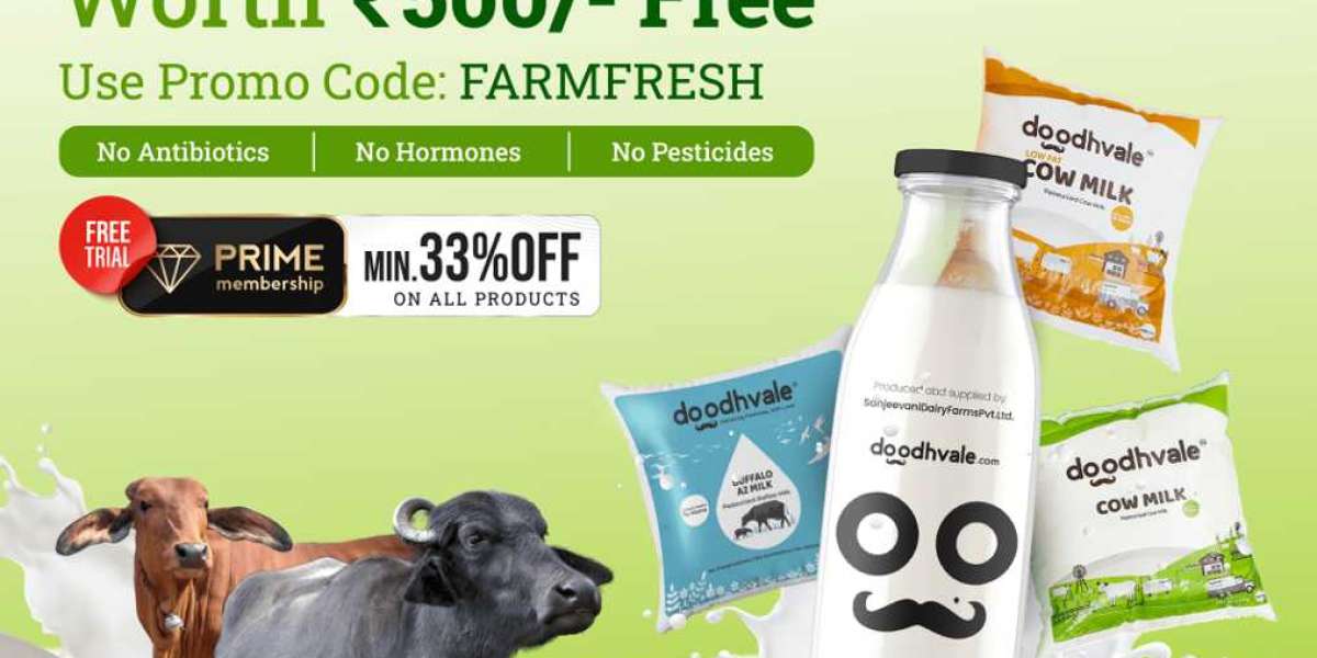 Online Milk Delivery in Delhi: Freshness Delivered with Doodhvale