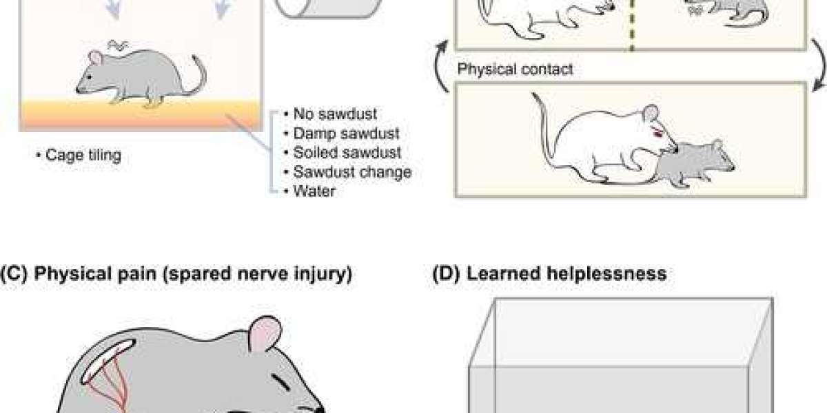 Preclinical Animal Models to Power Up Psychiatric Drug Development