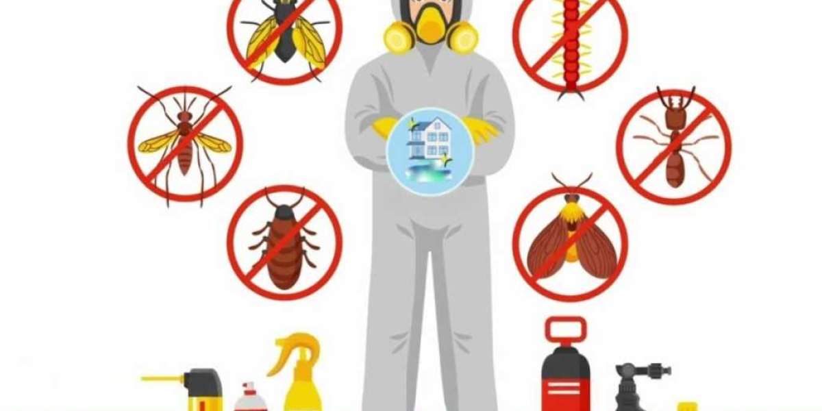 Effective Termite Control Services in Lahore: A Guide