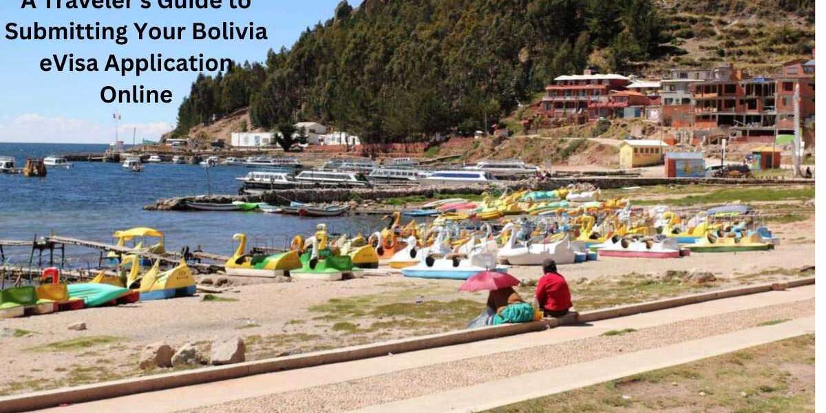 A Traveler's Guide to Submitting Your Bolivia eVisa Application Online