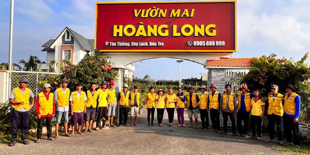 Cập Nhật Bảng Giá Mai Vàng Mới Nhất Năm 2024